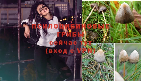 ешки Богородицк