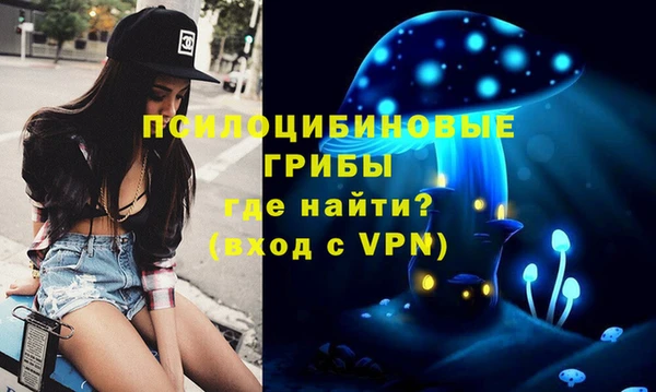 ешки Богородицк