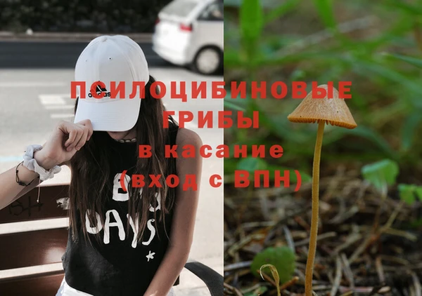 соль курить ск Богородск
