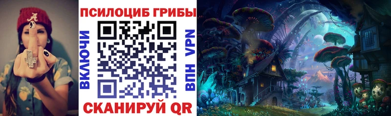 как найти наркотики  Качканар  Галлюциногенные грибы Magic Shrooms 